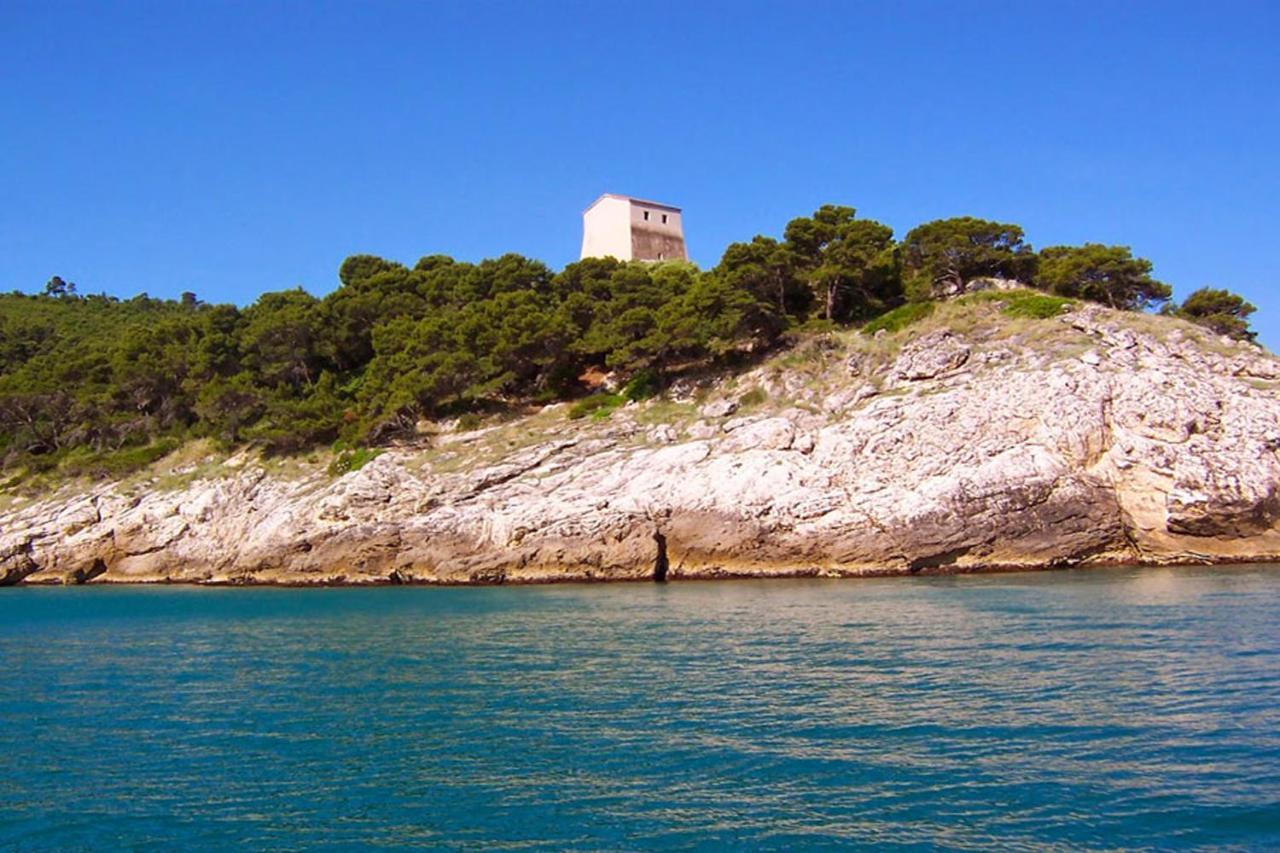 Ulimare Family Appartement
